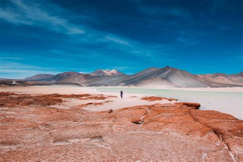 A Magical Ride: Exploring Atacama's Unique Transport Options